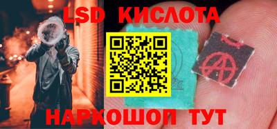 шишки Шелехов