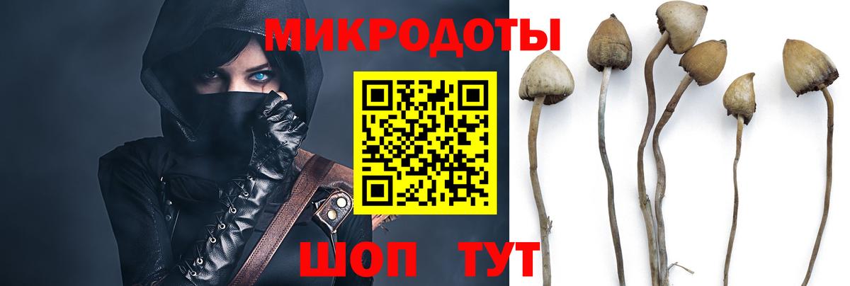 Галлюциногенные грибы Psilocybe  цены   Галлюциногенные грибы Psilocybine cubensis  Красноярск  Вход с VPN 